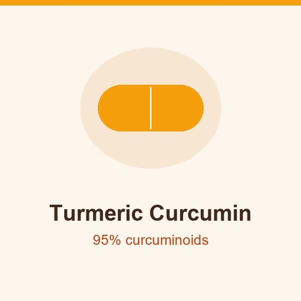 Turmeric curcumin for Artivorin inflammatory support