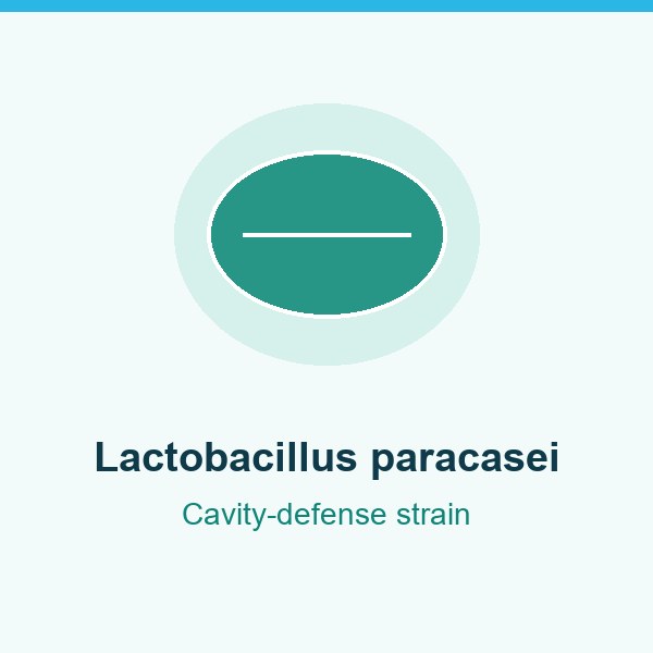 Lactobacillus paracasei in DentaVive for cavity defense