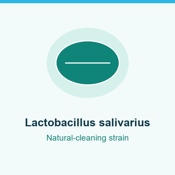 Lactobacillus salivarius in DentaVive