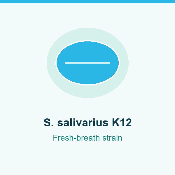 Streptococcus salivarius K12 in DentaVive for fresh breath