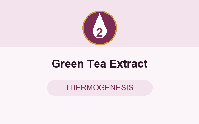 Green Tea Extract in HormoVance