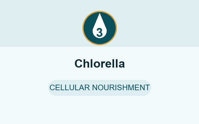 Chlorella in OptiPlax
