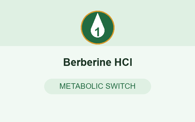 Berberine HCl in WegoSlim
