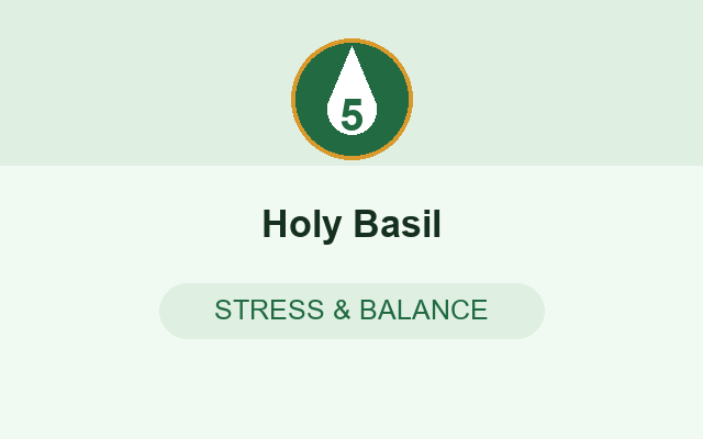 Holy Basil in WegoSlim